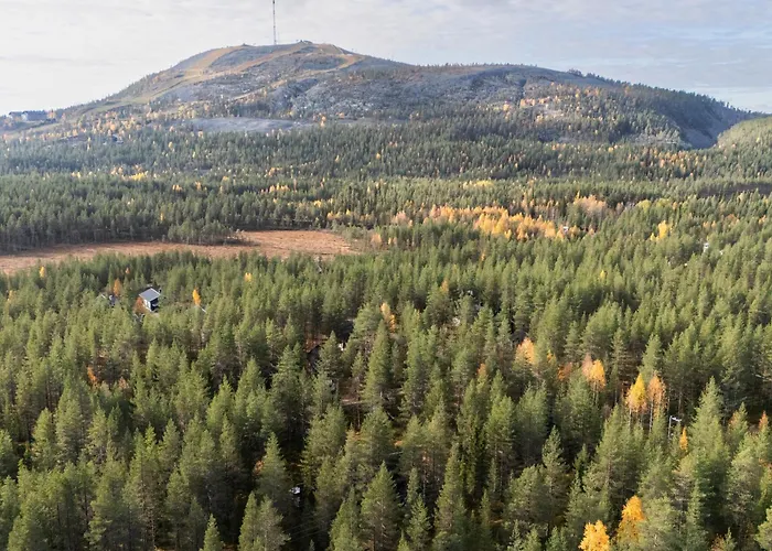 Laavu 15 Original Log With Sauna 파이하튠튜리